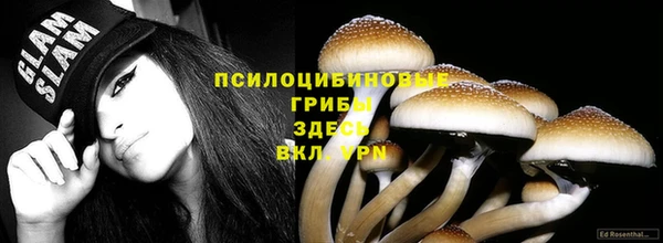 бутират Абинск