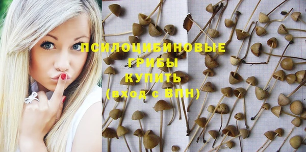 соль ск Абдулино