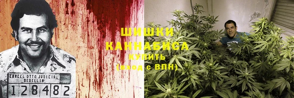 стафф Абаза