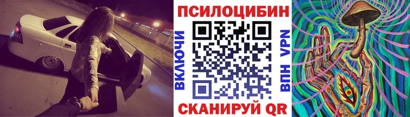 это как зайти omg Владикавказ Галлюциногенные грибы Psilocybe