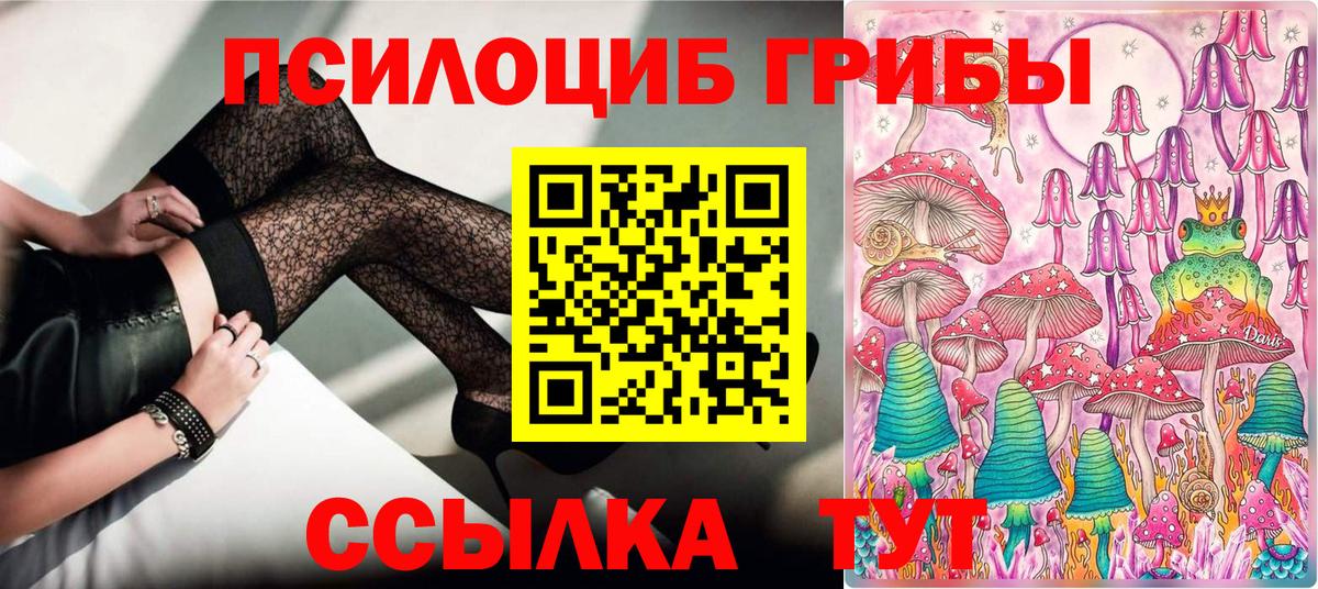 Псилоцибиновые грибы мухоморы Владикавказ