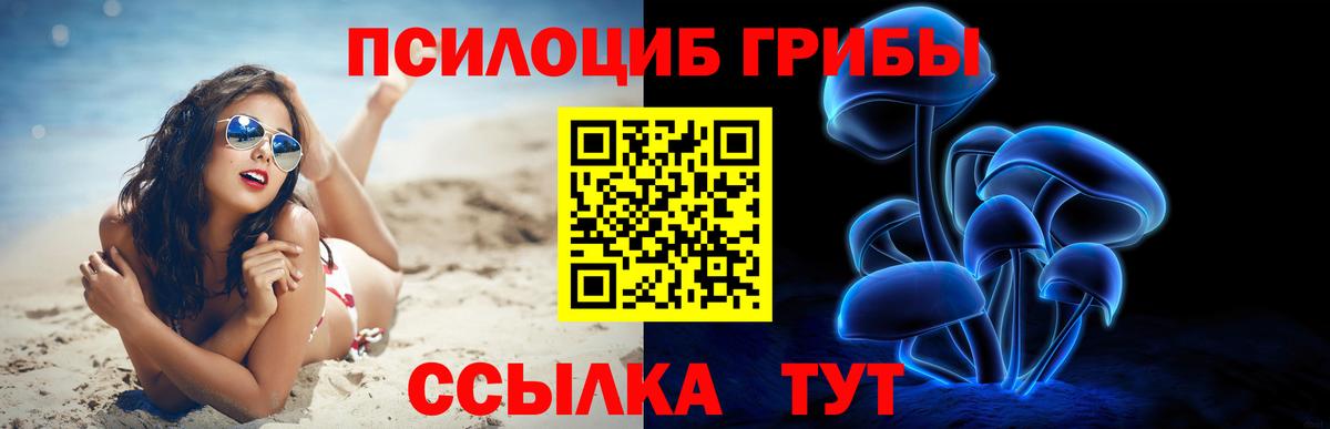 Владикавказ  Псилоцибиновые грибы мицелий  Вход с VPN 